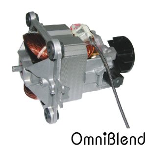 Motor - 3HP - 110V